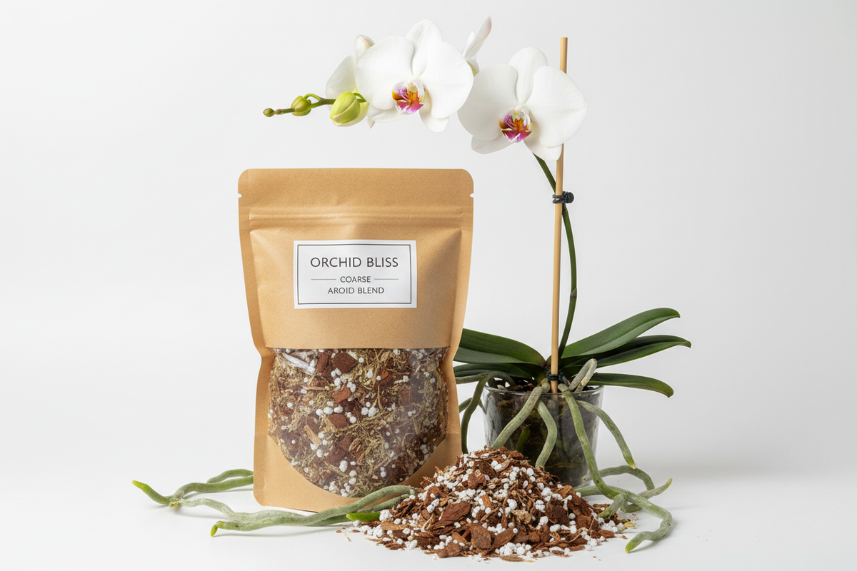 How to Choose the Right Phalaenopsis Potting Media: A Simple Home-Grower Quiz