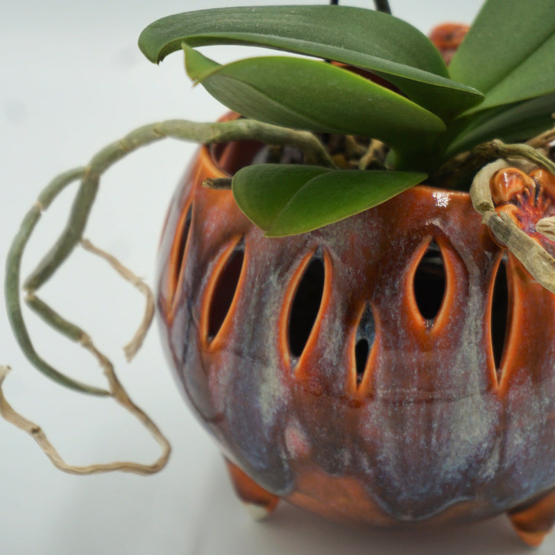 An orchid plant with green leaves and a hanging aerial root, potted in a decorative ceramic planter with cutout details and a brown, orange, and blue-gray glazed finish, on a plain light background.