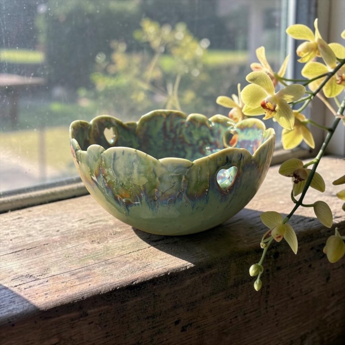 Cattleya and Dendrobium pots
