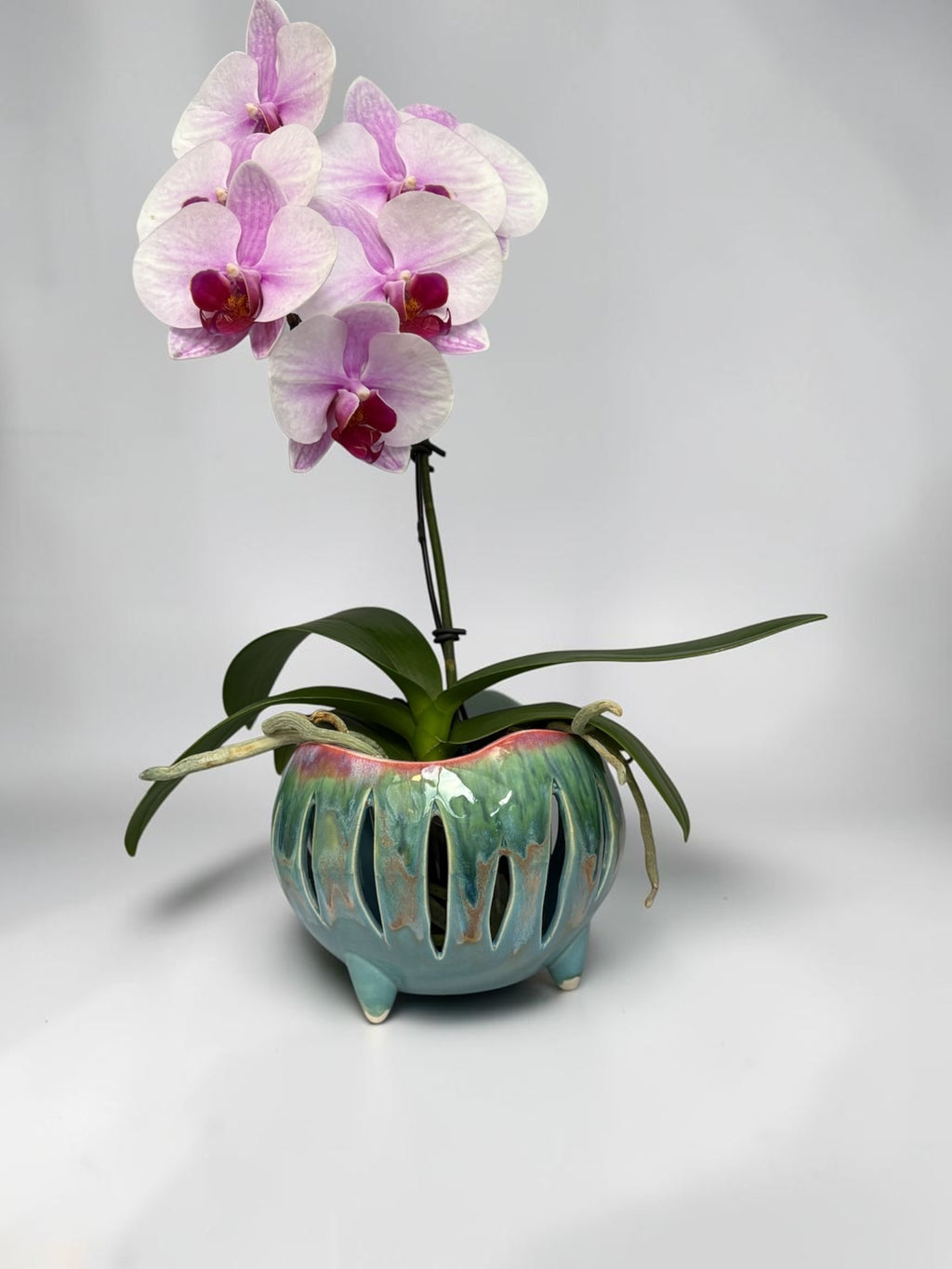 Pot à orchidée en porcelaine rétro - Groovy Pod
