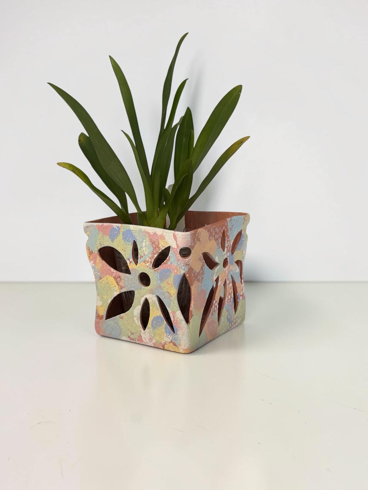 Vanda Terracotta Pot - Rainbow