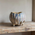 Pot à orchidée en porcelaine rétro - Petal Pop