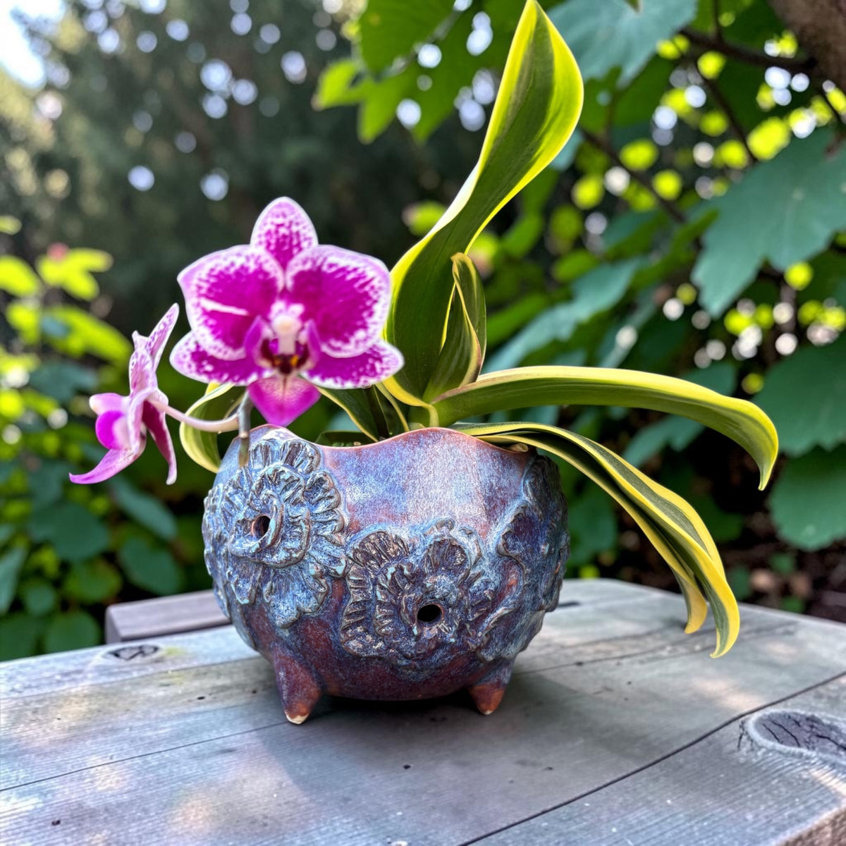 Pot à orchidée rétro en porcelaine - Fleur Fizz