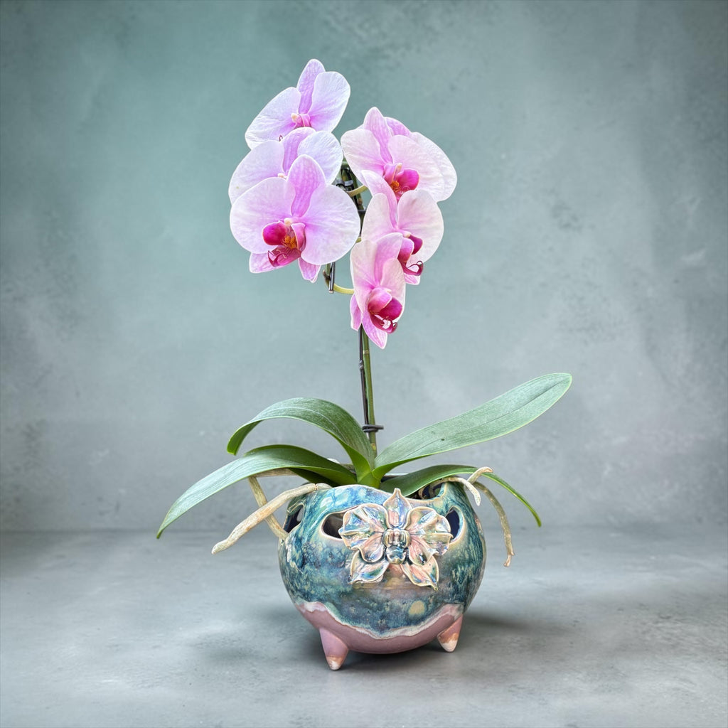 Retro porcelain orchid pot - Botanical Bounce