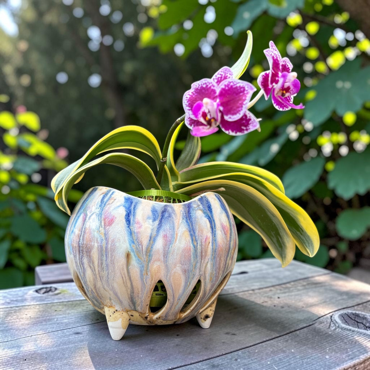 Pot à orchidée en porcelaine rétro - Petal Pop