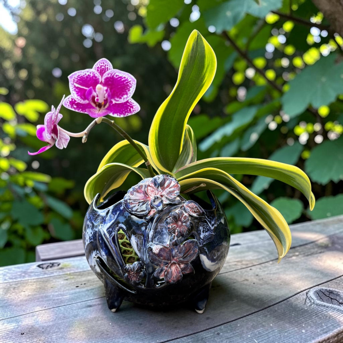 Pot à orchidée rétro en porcelaine - Flower Power
