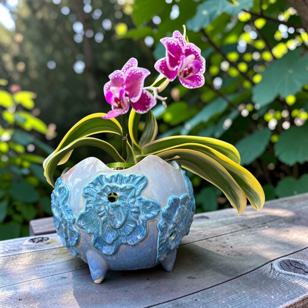 Pot à orchidée en porcelaine rétro - Flora Funk