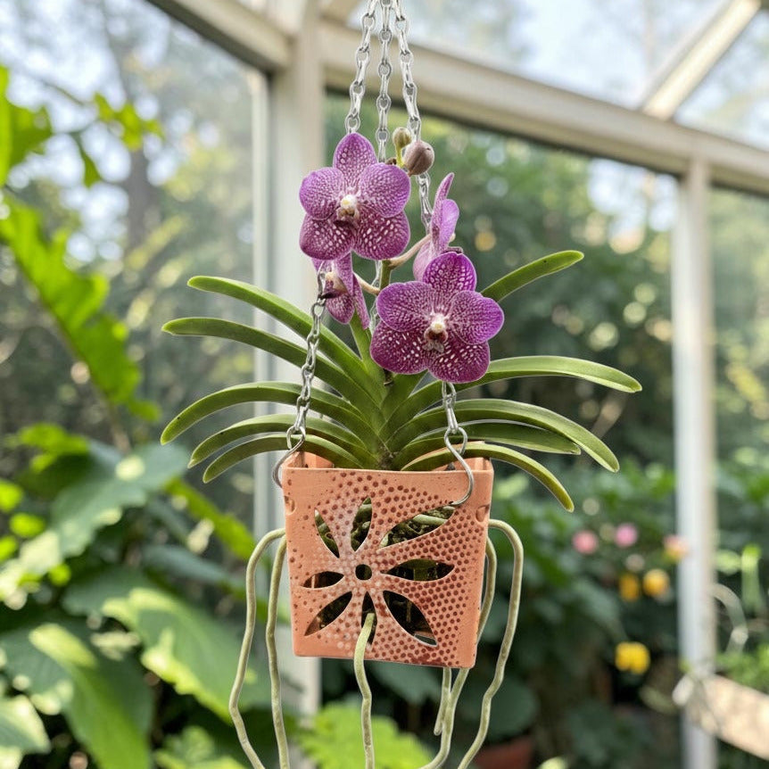 A hanging potted orchid with bright purple flowers and green leaves suspended in a terracotta-colored square planter with a decorative cutout pattern, set against a blurred greenhouse background.