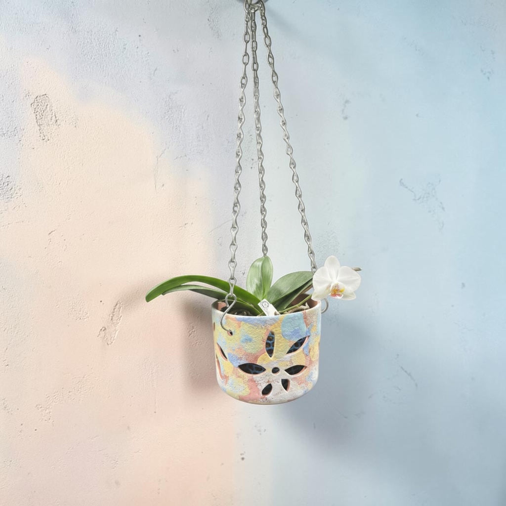 Pot en terre cuite pour orchidées - Rainbow Classic