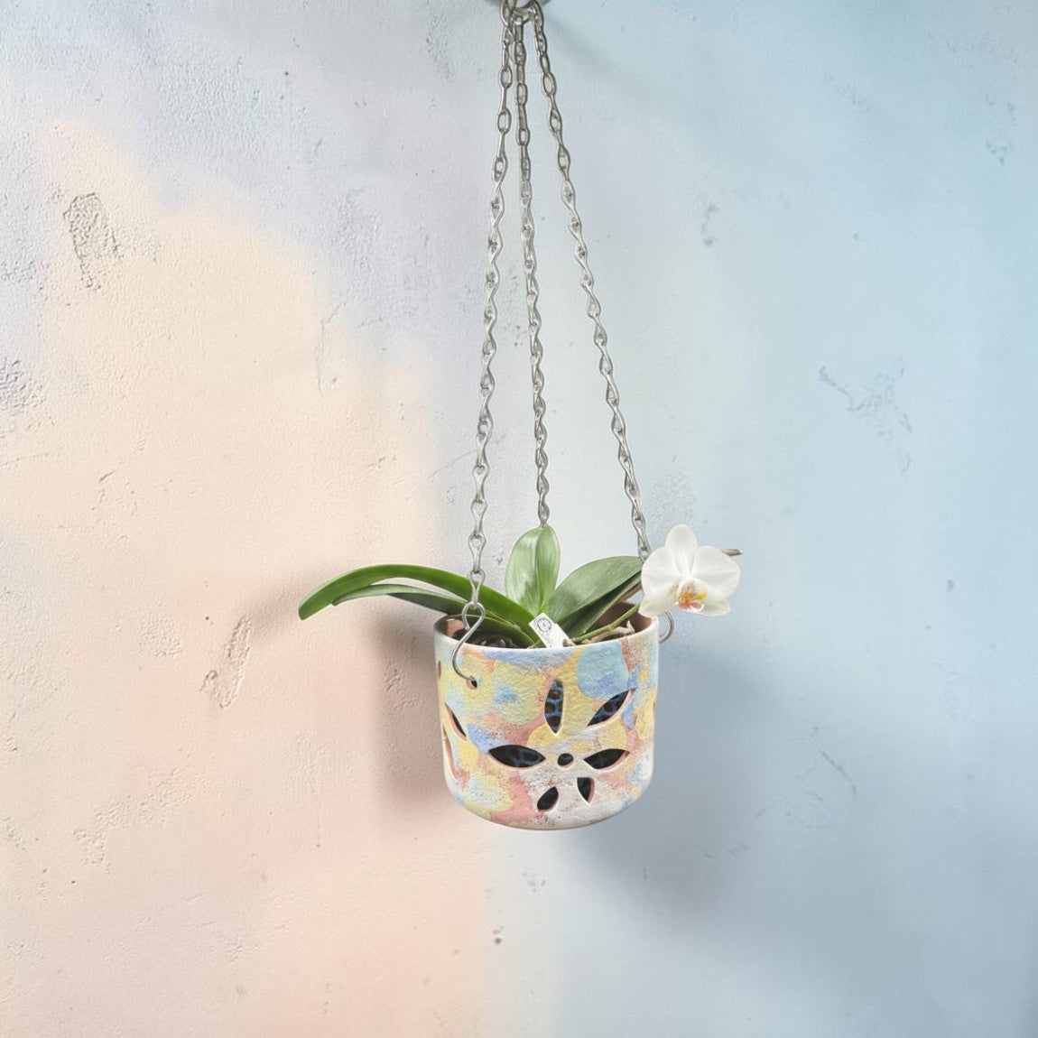 Pot en terre cuite pour orchidées - Rainbow Classic