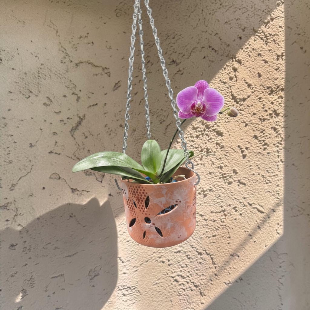 Orchid Terracotta Pot - Dots Classic