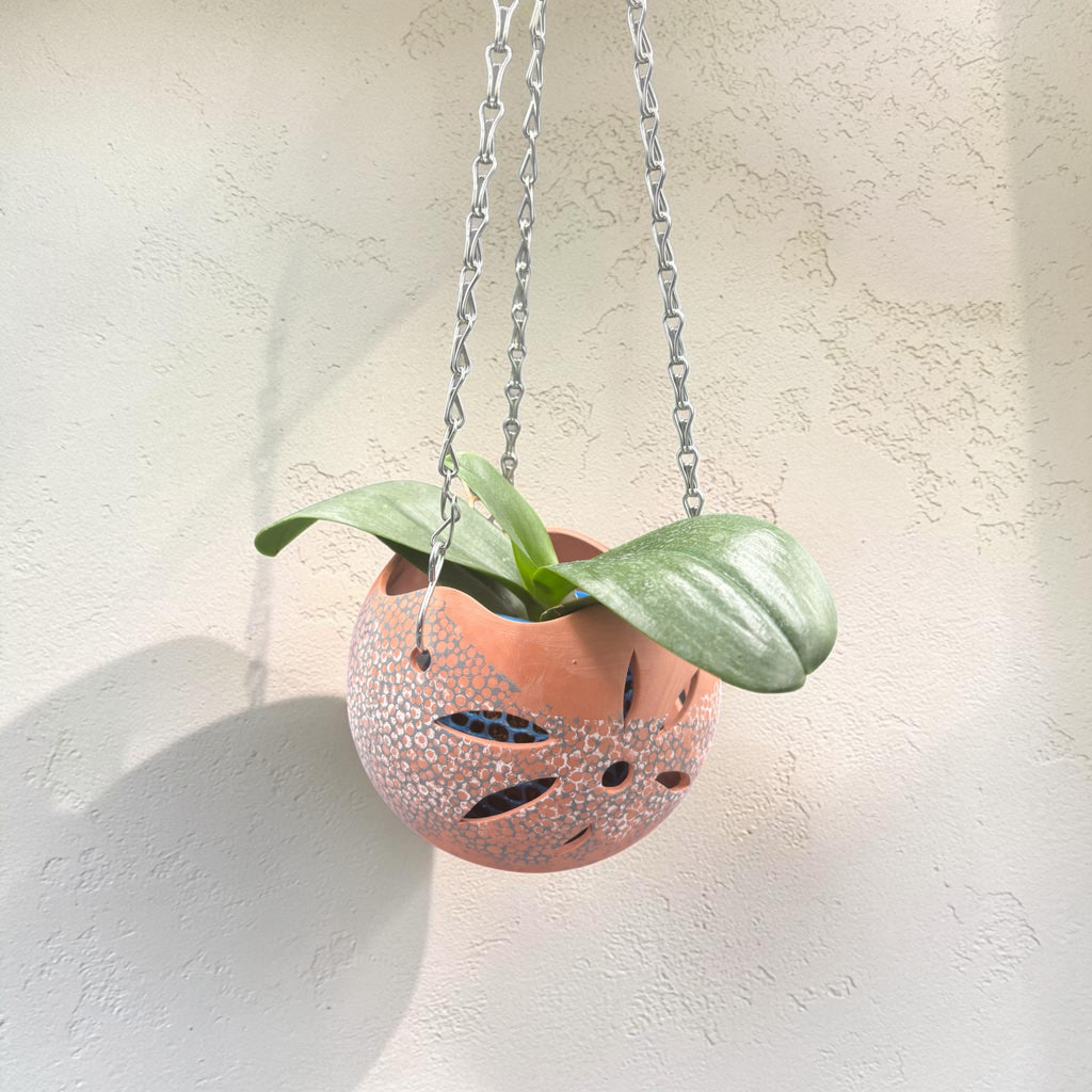 Orchid Terracotta Pot - Dots Sphere