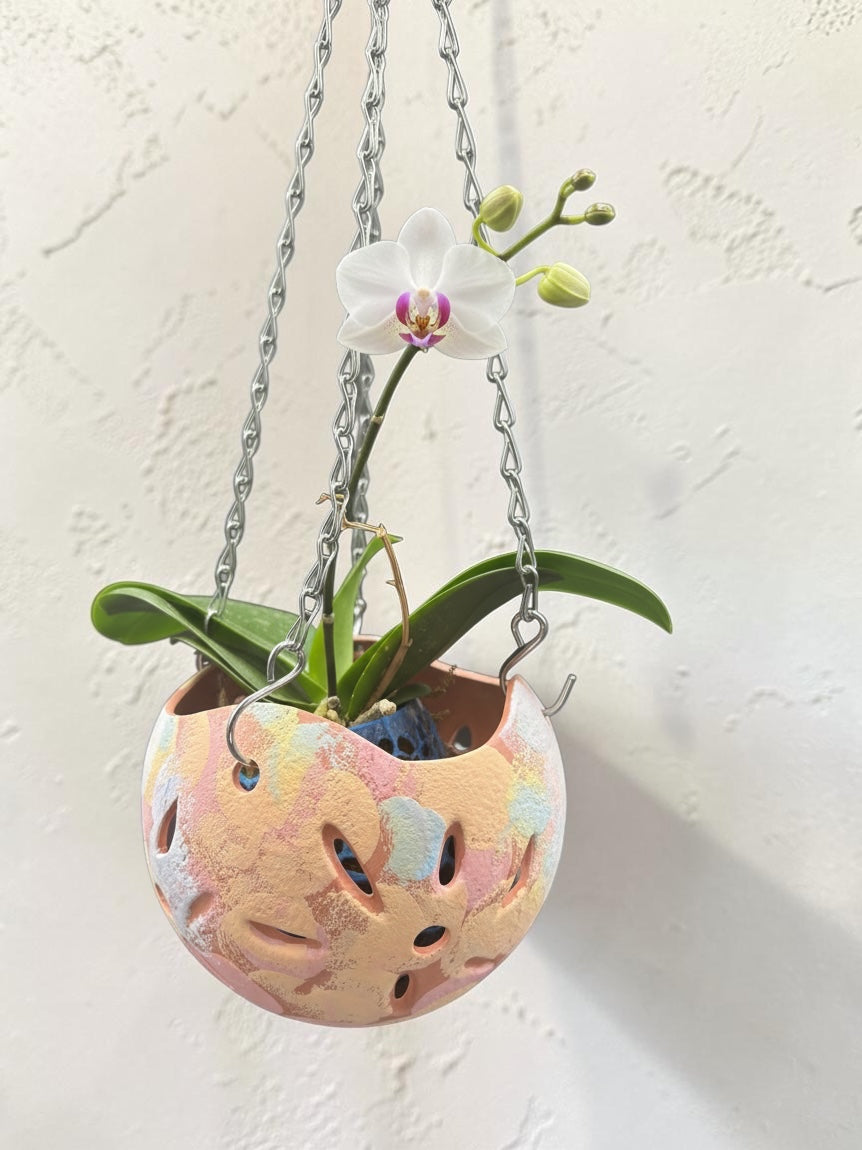 Orchid Terracotta Pot - Rainbow Sphere