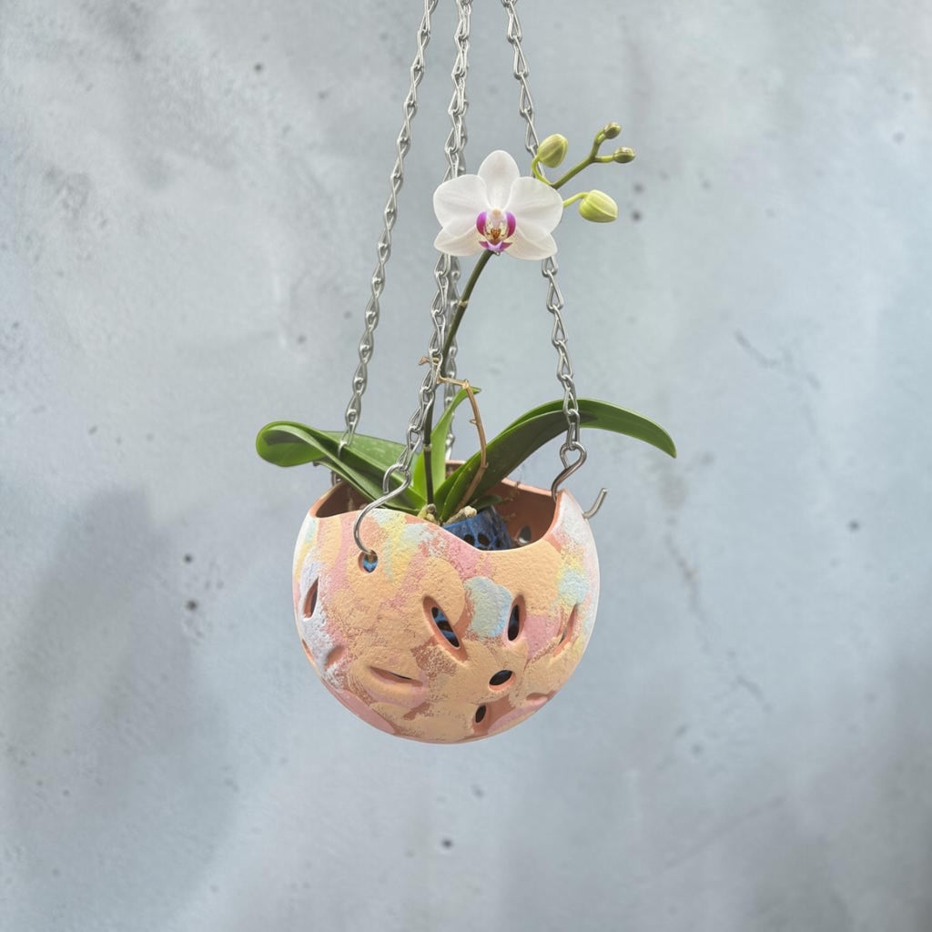 Orchid Terracotta Pot - Rainbow Sphere