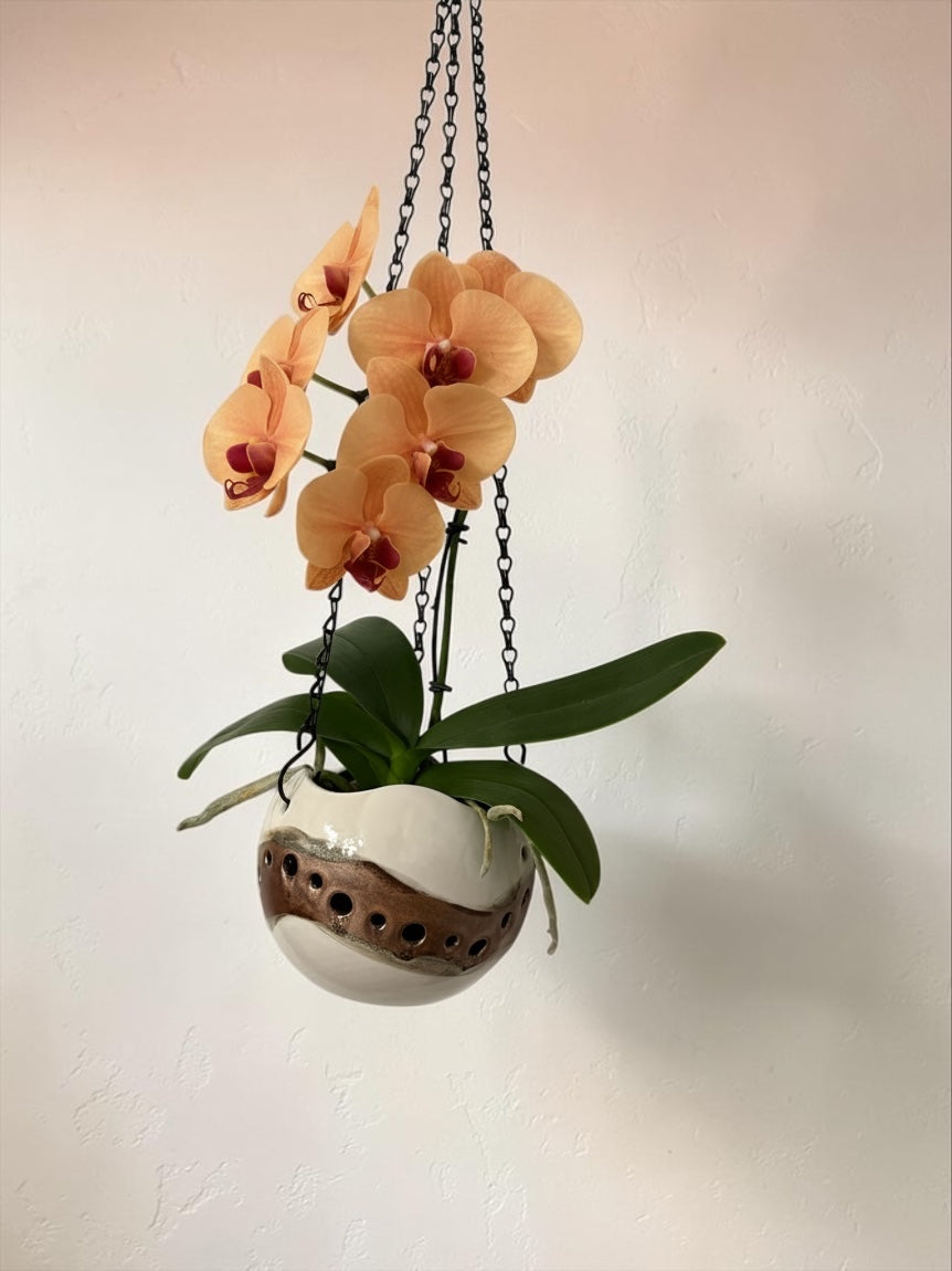 Porcelain orchid pot - Flux Cuivre