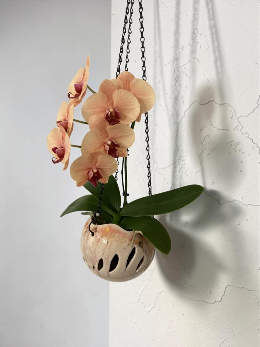 Pot à orchidée en porcelaine - Amaryllis