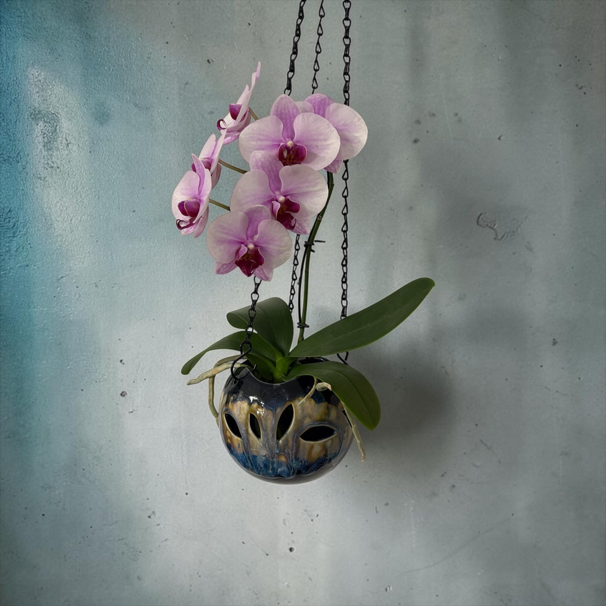 Porcelain orchid pot - Midnight Bloom