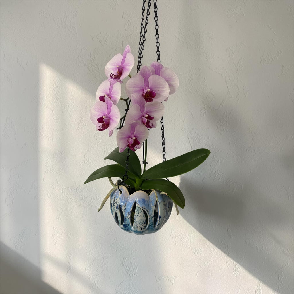 Porcelain orchid pot - Secret Garden