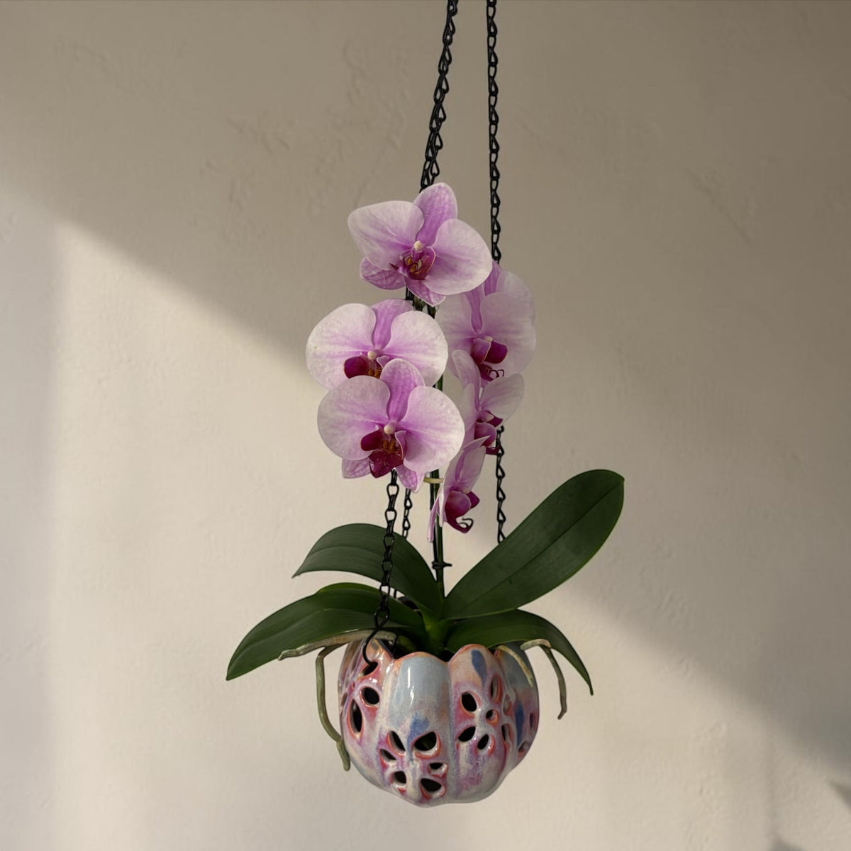Porcelain orchid pot - Ink and Petal