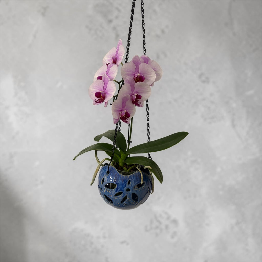 Porcelain orchid pot -  Celestial Blossom
