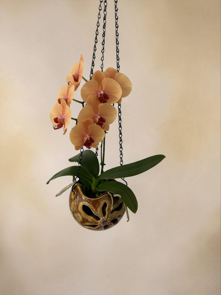 Porcelain orchid pot - Bloomstone