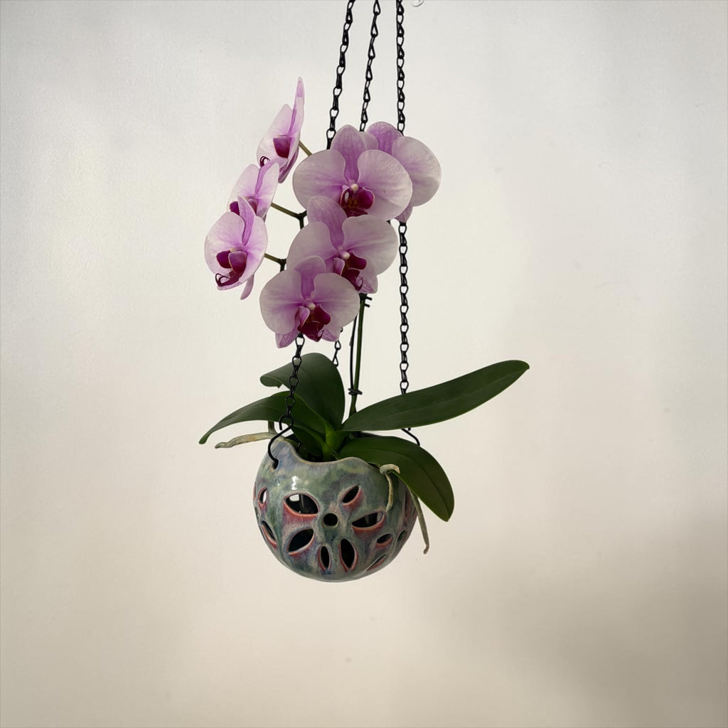 Porcelain orchid pot - Ink and Petal #2