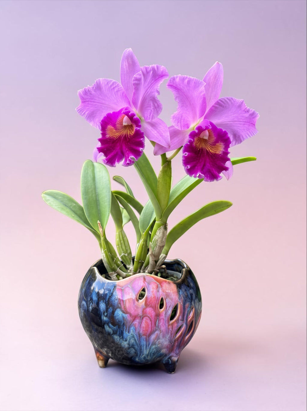 Retro porcelain orchid pot - Space Age Garden