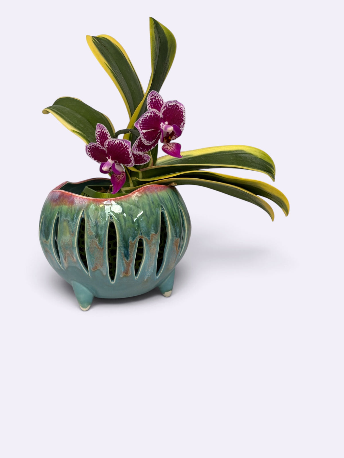 Pot à orchidée en porcelaine rétro - Groovy Pod