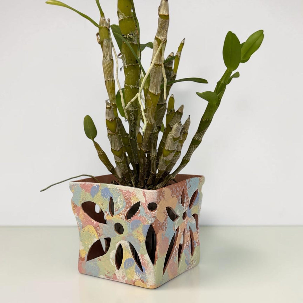 Vanda Terracotta Pot - Rainbow