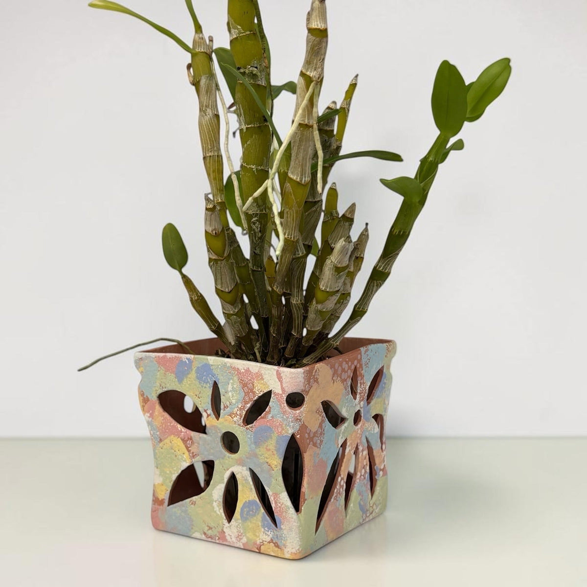 Vanda Terracotta Pot - Rainbow
